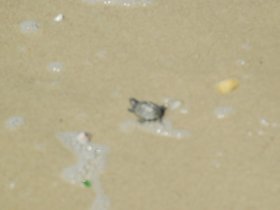 dsc_2860.jpg
