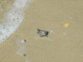 dsc_2861.jpg