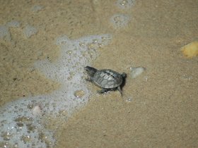 dsc_2862.jpg