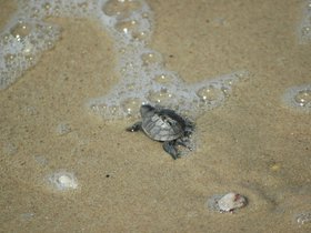 dsc_2864.jpg