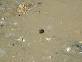 dsc_2865.jpg