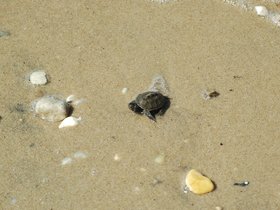 dsc_2866.jpg