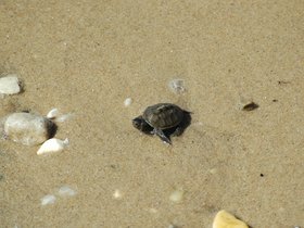 dsc_2867.jpg