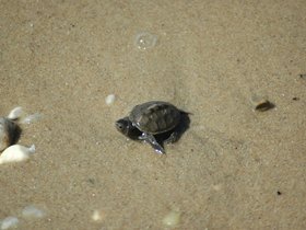 dsc_2868.jpg