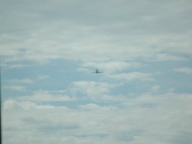 dsc_3142.jpg
