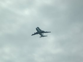 dsc_3146.jpg